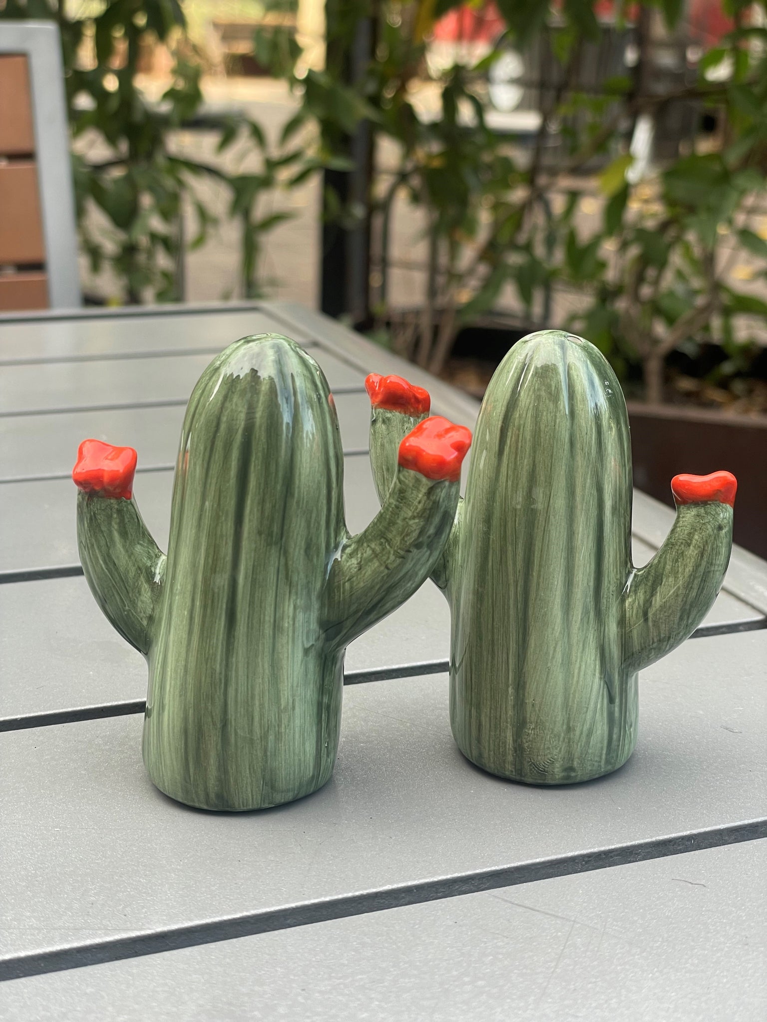 Salt & Pepper Shaker-Saguaro