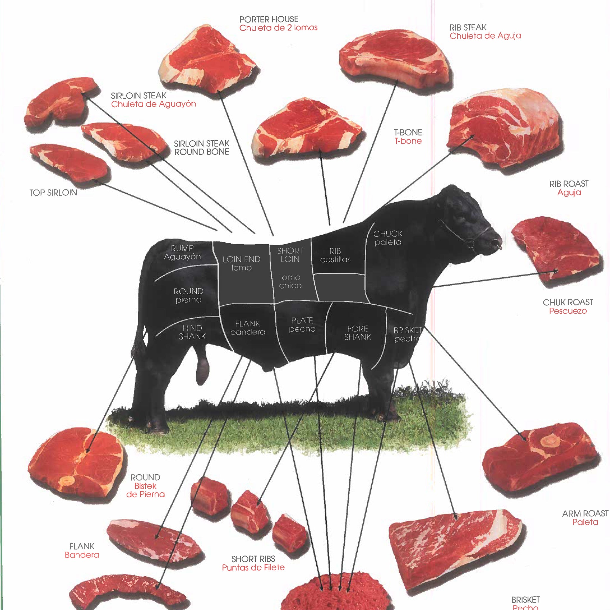 1474 Equivalencias de Cortes Americanos Calendario